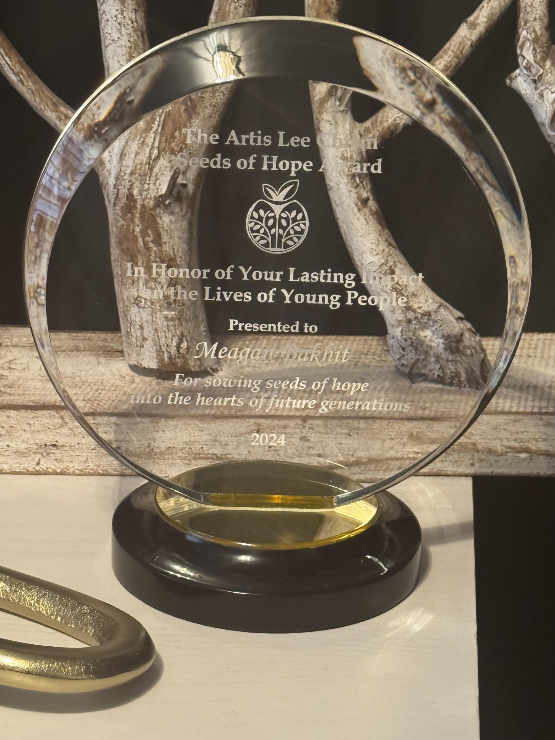 Artis Lee Chism Seeds of Hope Award