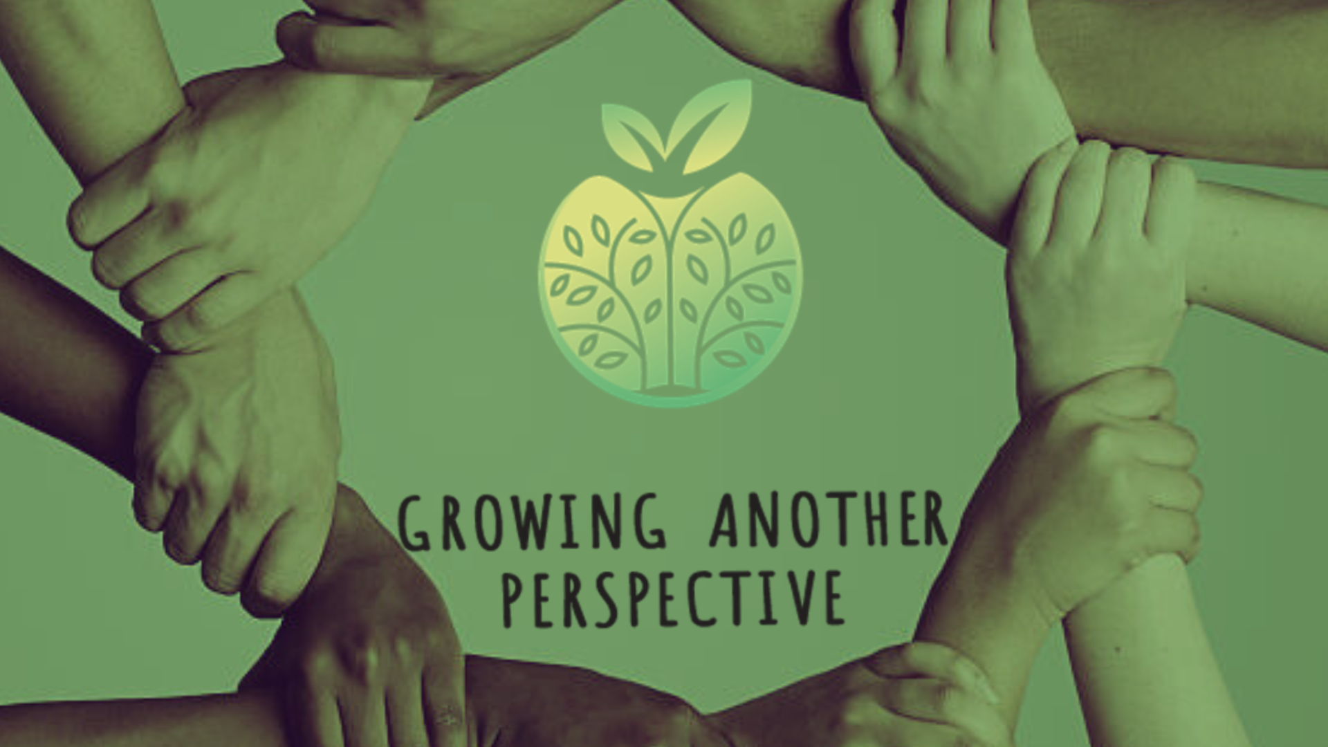 Leading Your School Toward Equity